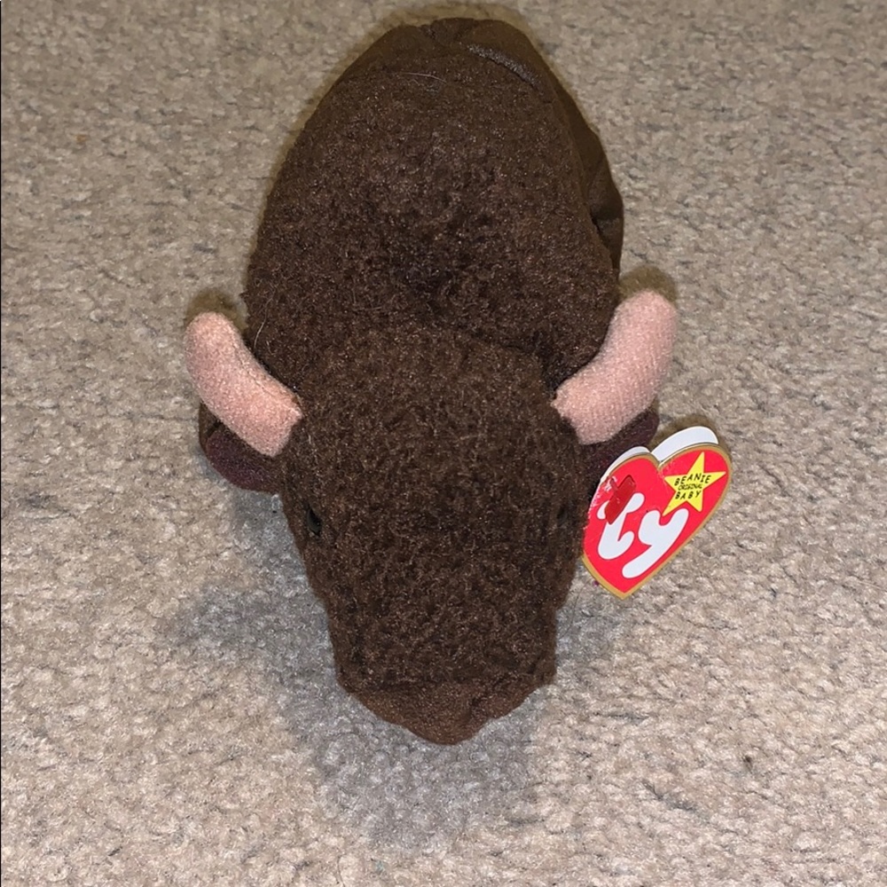 Roam the bison